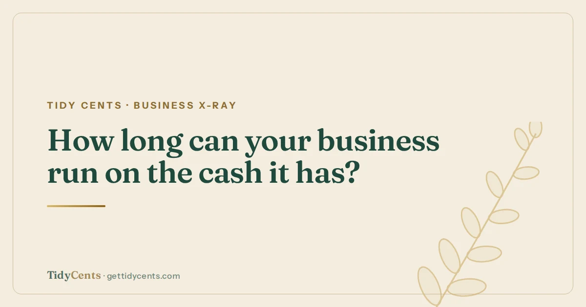 Tidy Cents · Business X-Ray — How long can your business run on the cash it has?
