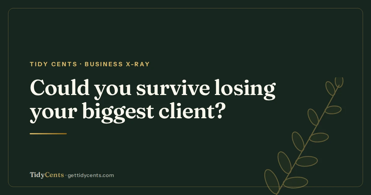 Tidy Cents · Business X-Ray — Could you survive losing your biggest client?