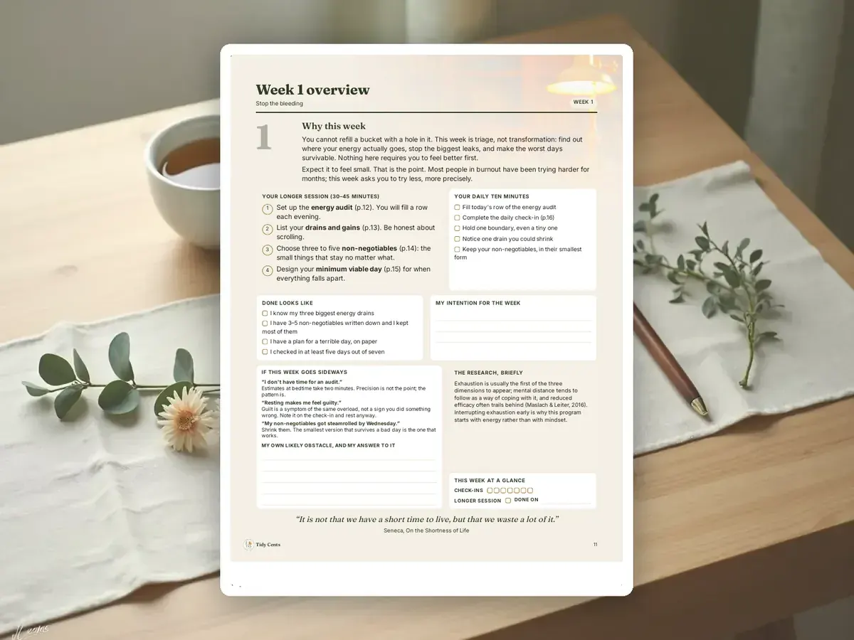 Burnout Recovery Workbook — Page 11