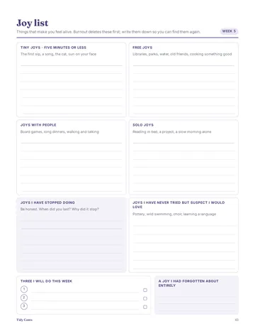 Page 43